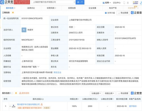 星宇股份于上海新設(shè)智行技術(shù)子公司，聚焦信息系統(tǒng)集成服務(wù)